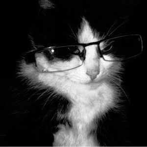 Meet your Posher, Eliza